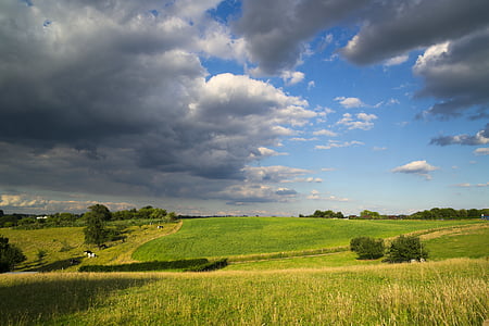 green grass with blue sky thumbnail