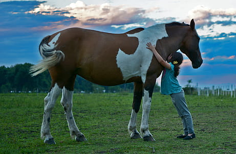 girl in blue shirt and gray pants hugging a brown and white horse thumbnail