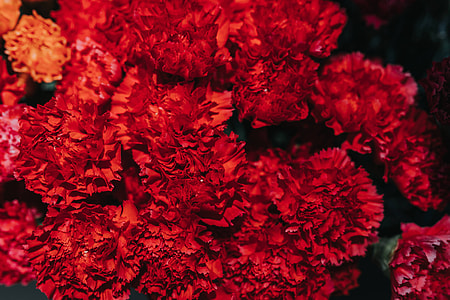 Collection of colourful flower bouquets thumbnail
