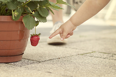baby pointing on red strawberry thumbnail