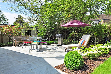 Sunlounger Near Umbrella and Plant thumbnail
