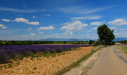 gray asphalt road under blue sky during daytime thumbnail