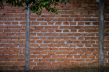 green leafed trees near brown brick wall at daytime thumbnail