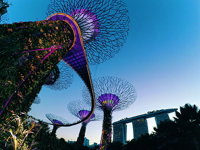 Garden by the bay and Marina bay sands, Singapore thumbnail
