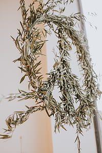 green plant peace logo wreath thumbnail