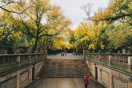 people walking on park during daytime thumbnail
