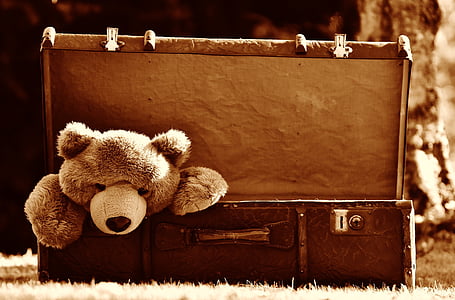 brown bear plush toy inside brown briefcase thumbnail