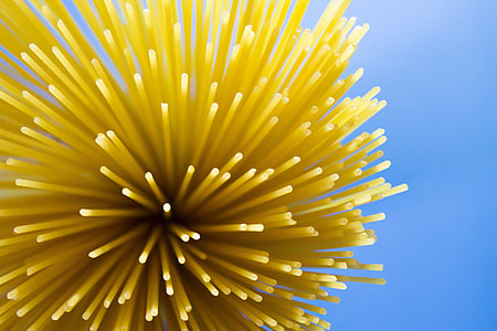 selective focus photography of spaghetti pasta thumbnail