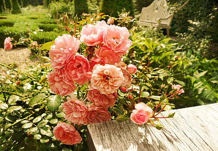 closeup photo of carnation flowers near the table thumbnail