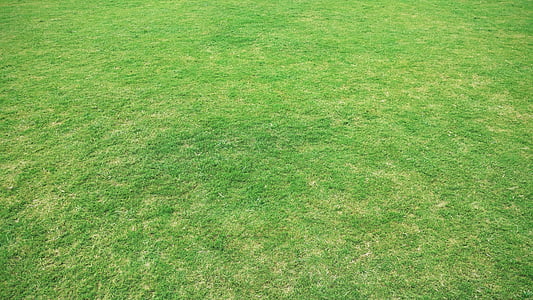 green grass field thumbnail