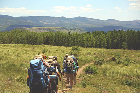 group of people walking across the grass thumbnail