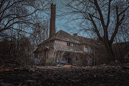 brown house in forest thumbnail