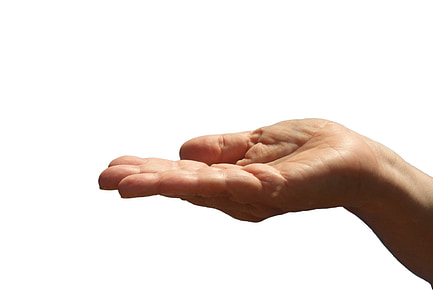 person's right palm thumbnail
