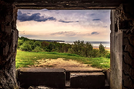 trees seen from gray concrete doorway thumbnail