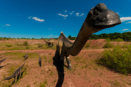 closeup photo of dinosaur thumbnail