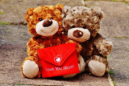 two brown bear plush toys thumbnail