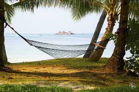 black hammock on palm trees thumbnail