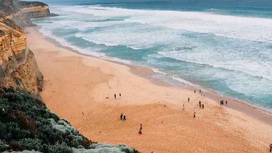 people near seashore during daytime thumbnail
