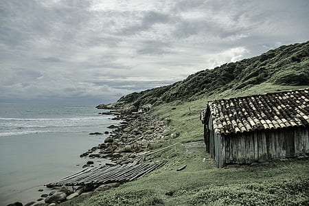 gray wooden shed next to pier thumbnail