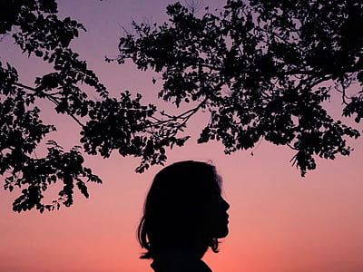 silhouette photo of woman below trees thumbnail