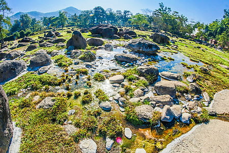 Aerial View of Body of Water and Green Grass Field thumbnail