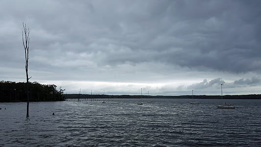 Sailboats moored on waters of Manasquan Reservoir under stormy skies. thumbnail