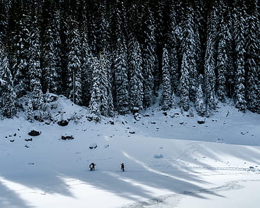 people walking in the snow terrain thumbnail