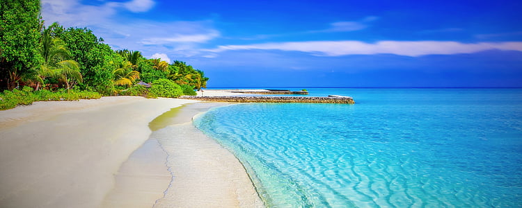 white sand beach during daytime thumbnail