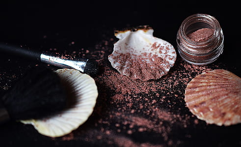 brown powder on white clam shells thumbnail