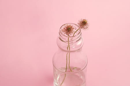 clear glass bottle thumbnail
