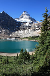 lake in between mountain range and forest thumbnail