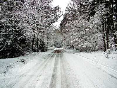 landscape photography of trees and road thumbnail