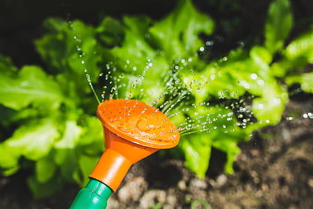 selective focus photography of orange watering can thumbnail