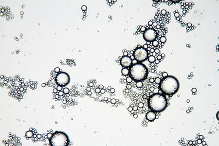 Mixture of soap and oil viewed under the microscope. thumbnail