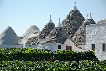 beige and white concrete buildings near green plant garden thumbnail