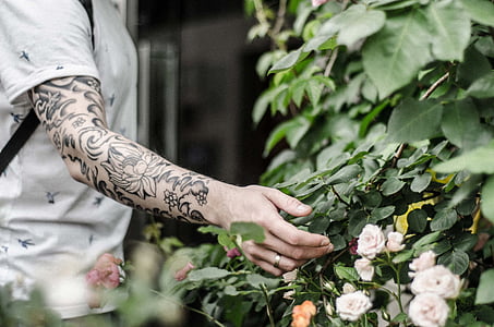 person touching plant during daytime thumbnail