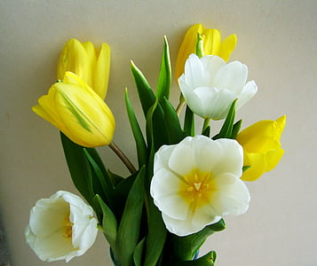 white and yellow flowers thumbnail