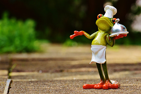 frog chef photography thumbnail