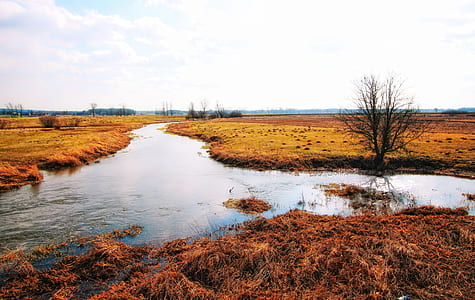 body of water under cloudy sky thumbnail