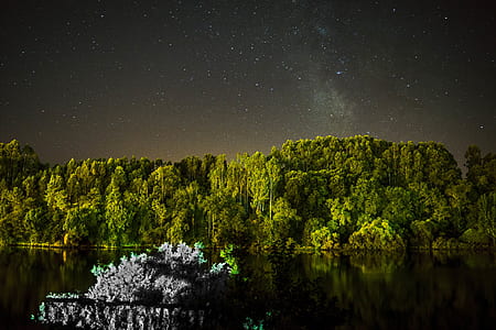 green forest near the body of water at nighttime thumbnail