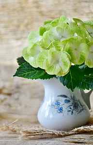 green-and-white petaled flowers in white ceramic vase on table thumbnail