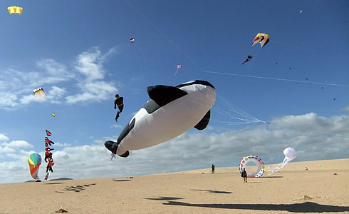 Dragon Festival, Fuerteventura thumbnail