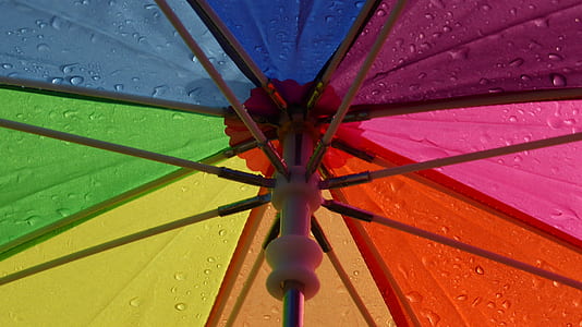 multicolored umbrella with dew atop thumbnail