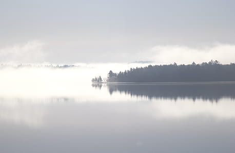 trees near sea at daytime thumbnail