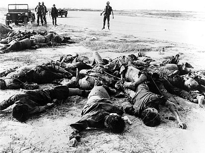 Viet Cong/NVA killed by U.S. Air Force personnel during the Vietnam War thumbnail