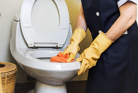 Person Cleaning Flush Toilet thumbnail