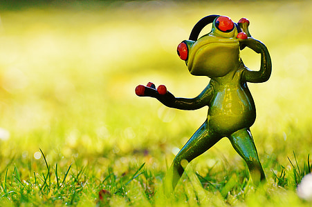 shallow focus photography of standing red eyed tree frog thumbnail