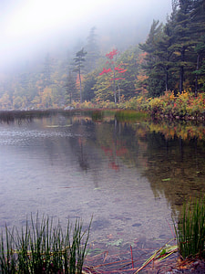 landscape photography of body of calm water thumbnail