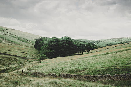 landscape photo of mountain thumbnail