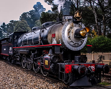 black and gray express train at daytime thumbnail